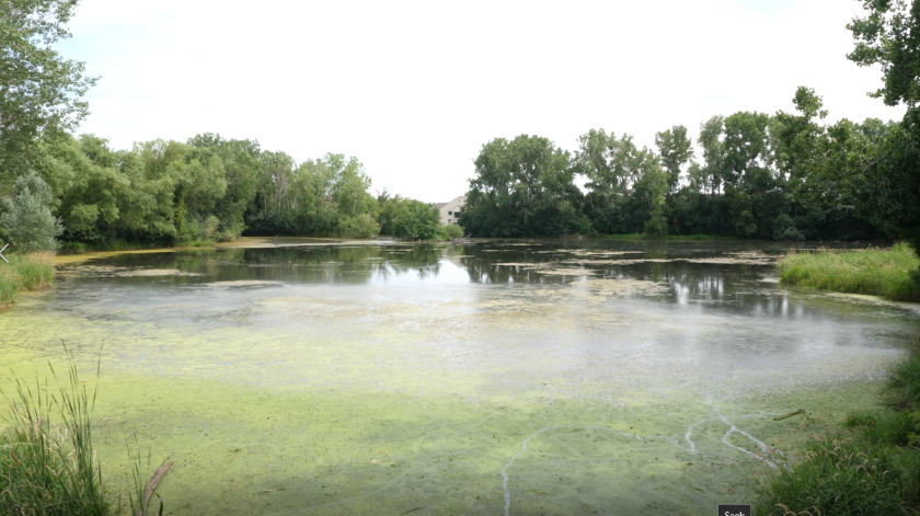marsh2