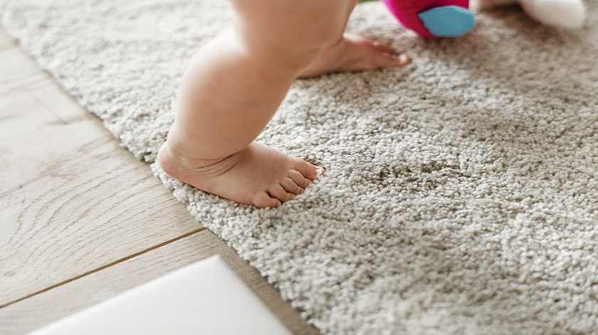 2.8-rug