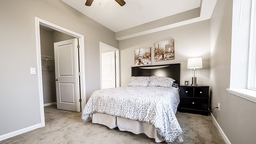 2.8-bed