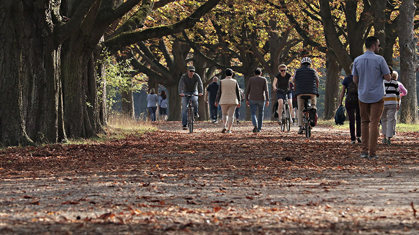 2.8-trails-and-bikes