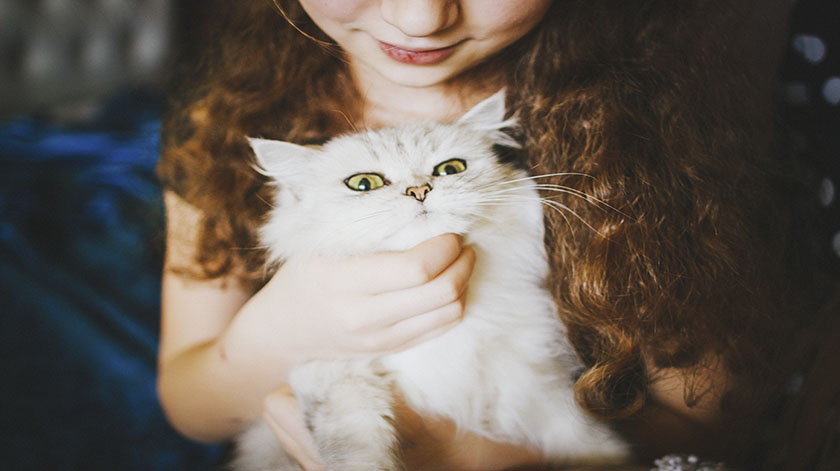 2.8-cat-kid