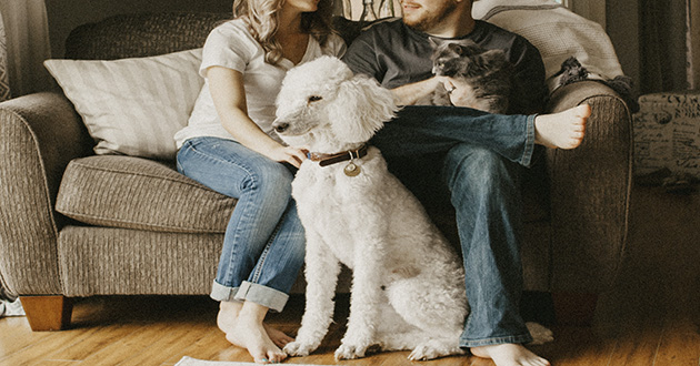 2.1-couch-2