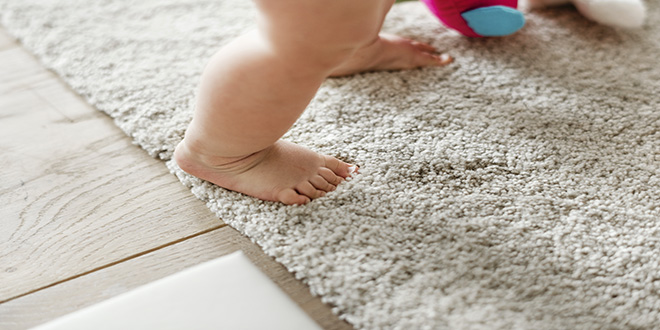 2.2-carpet