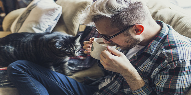 2.2-cat-coffee