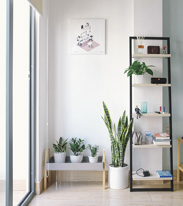 2-shelves-1