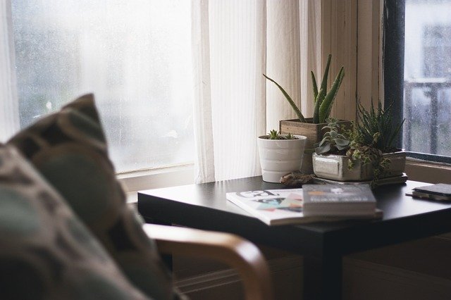 Ideas-for-in-home-gardens
