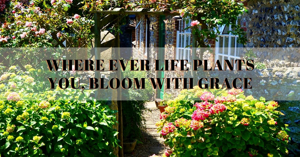 Ideal Plants for an Apartment Balcony