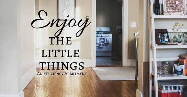 An Efficiency Apartment
