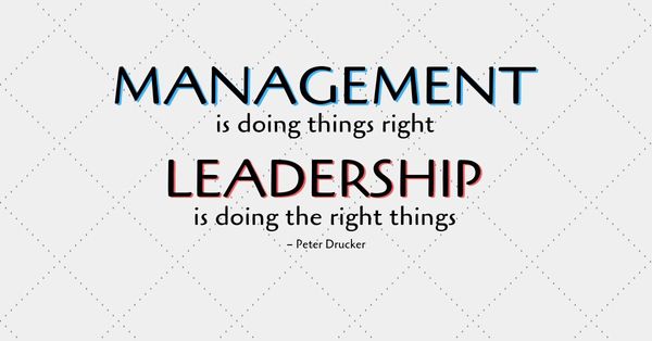 Efficient Management vs. Effective Leadership