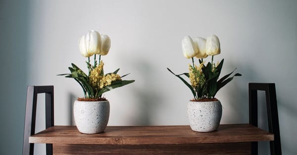 How to Implement A Minimalist Design